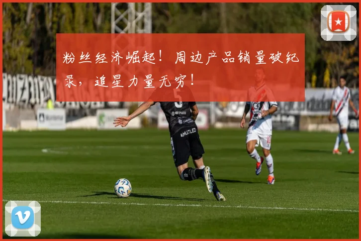 粉丝经济崛起！周边产品销量破纪录，追星力量无穷！