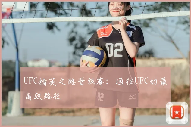 UFC精英之路晋级赛：通往UFC的最高效路径