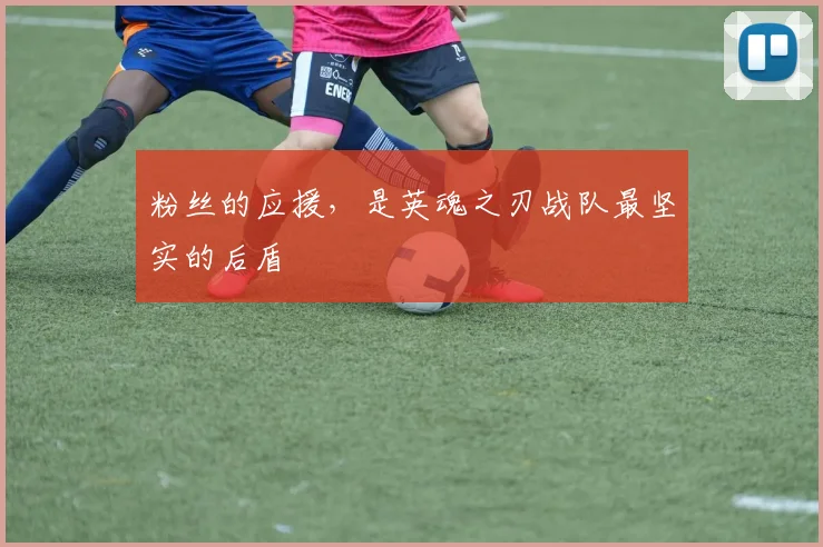 粉丝的应援，是英魂之刃战队最坚实的后盾