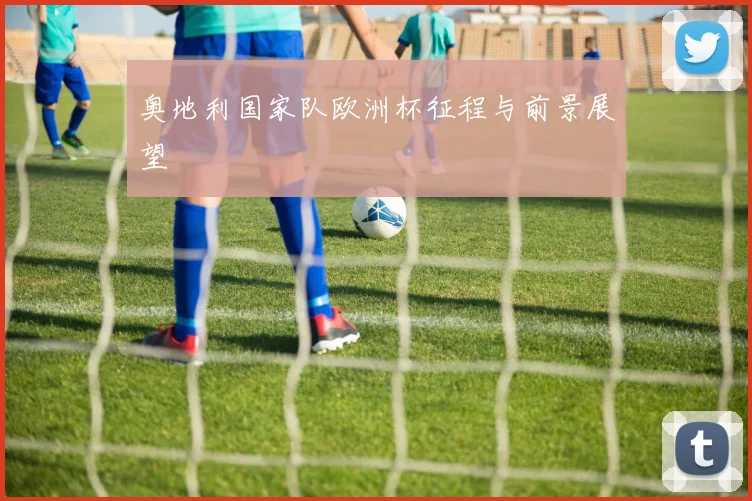 奥地利国家队欧洲杯征程与前景展望