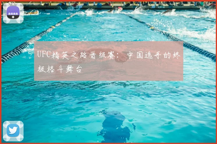 UFC精英之路晋级赛：中国选手的终极格斗舞台