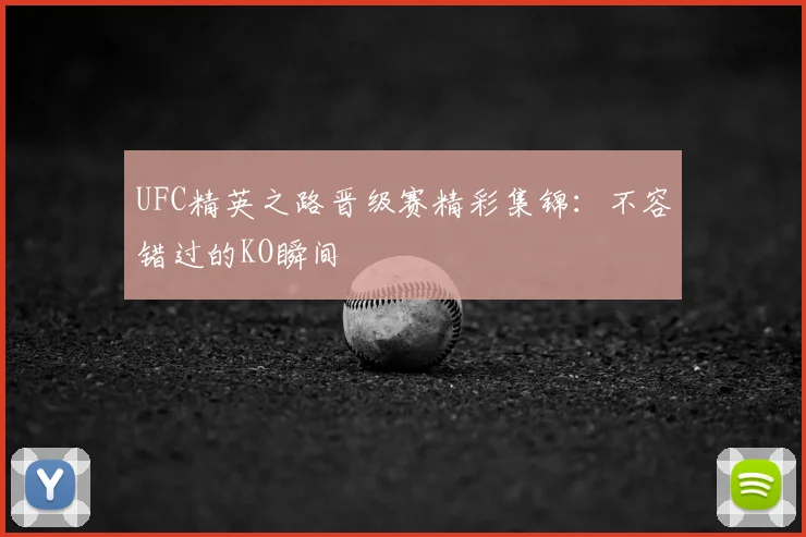 UFC精英之路晋级赛精彩集锦：不容错过的KO瞬间