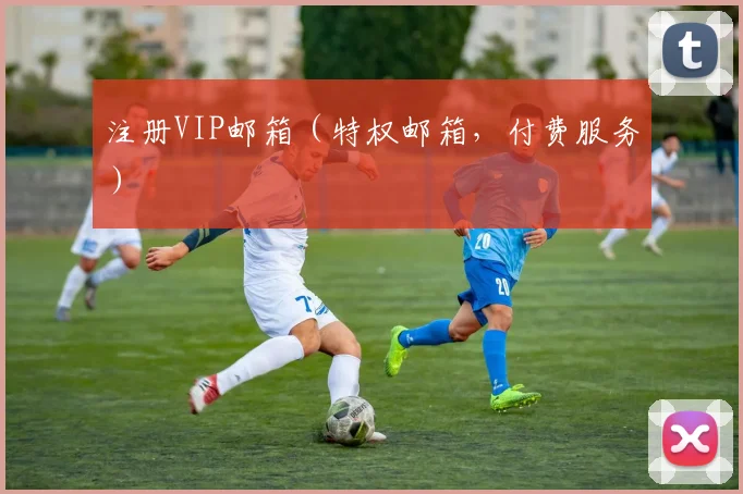 注册VIP邮箱（特权邮箱，付费服务）