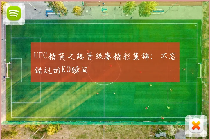 UFC精英之路晋级赛精彩集锦：不容错过的KO瞬间