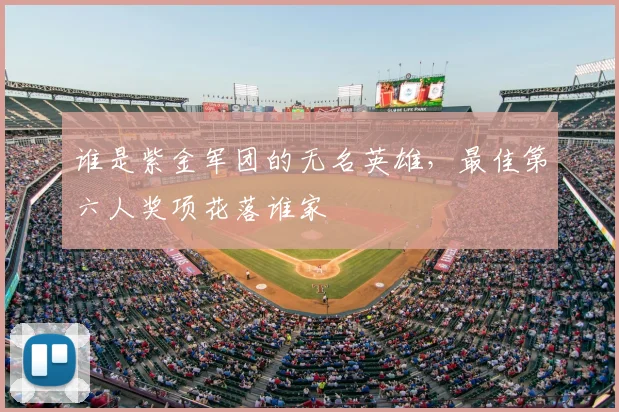 谁是紫金军团的无名英雄，最佳第六人奖项花落谁家