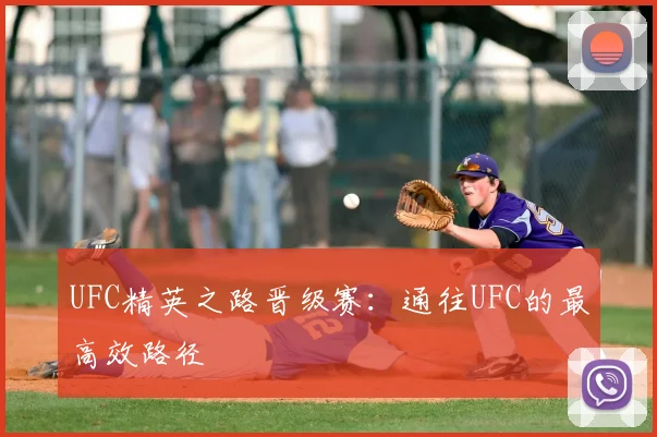 UFC精英之路晋级赛：通往UFC的最高效路径