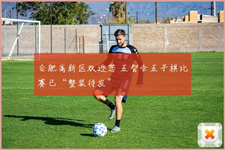合肥高新区欢迎您 五智会五子棋比赛已“整装待发”