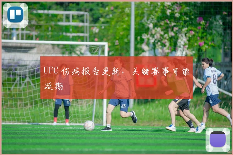 UFC 伤病报告更新,关键赛事可能延期