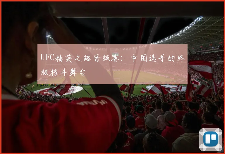 UFC精英之路晋级赛：中国选手的终极格斗舞台